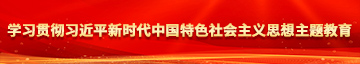 男生肏女生的屄学习贯彻习近平新时代中国特色社会主义思想主题教育