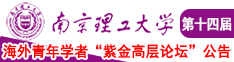 骚逼屌南京理工大学第十四届海外青年学者紫金论坛诚邀海内外英才！